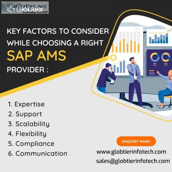 Sap consulting services provider