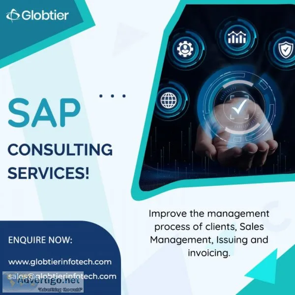 Sap consulting services provider