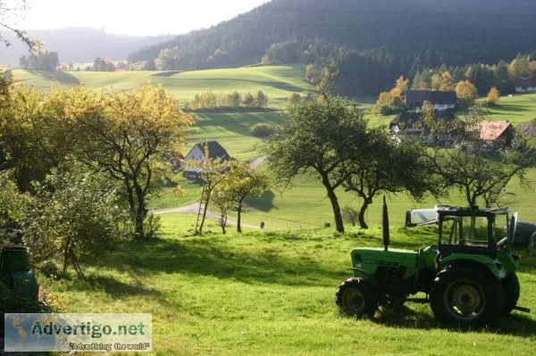 Rural property for sale nz