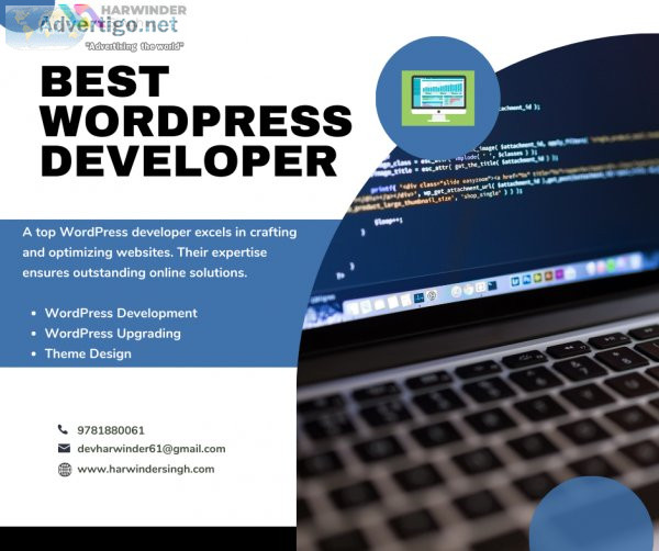 Best wordpress developer