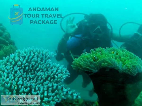 Andaman tour packages ? andaman tour travel packages
