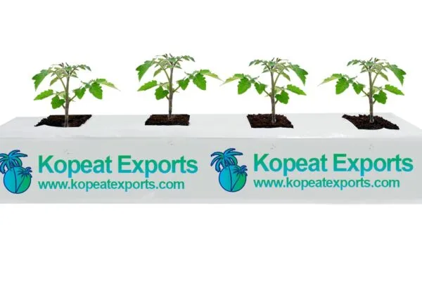 Long type grow bag in australia