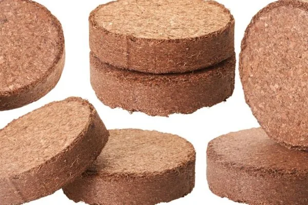 Coco peat in australia