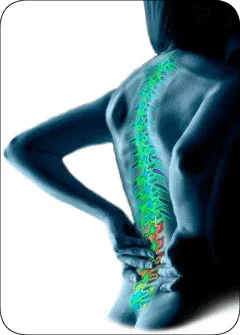 Arogyam pure herbs kit for joint pains