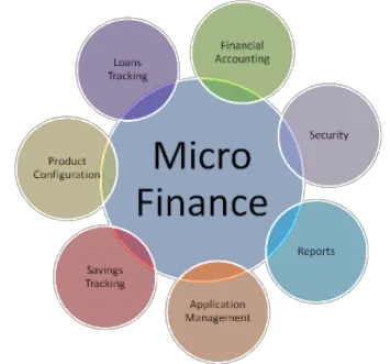 Microfinance software company in lucknow