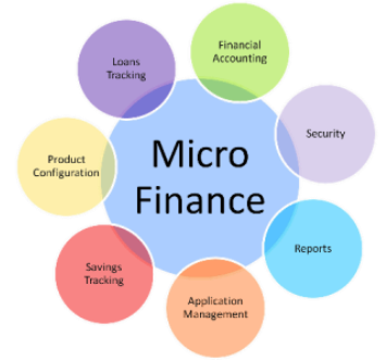 Microfinance software company in lucknow