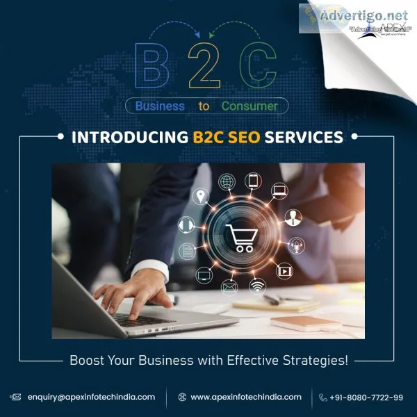 Apex infotech best b2c seo services in india