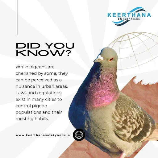 Pigeon net installation in pune