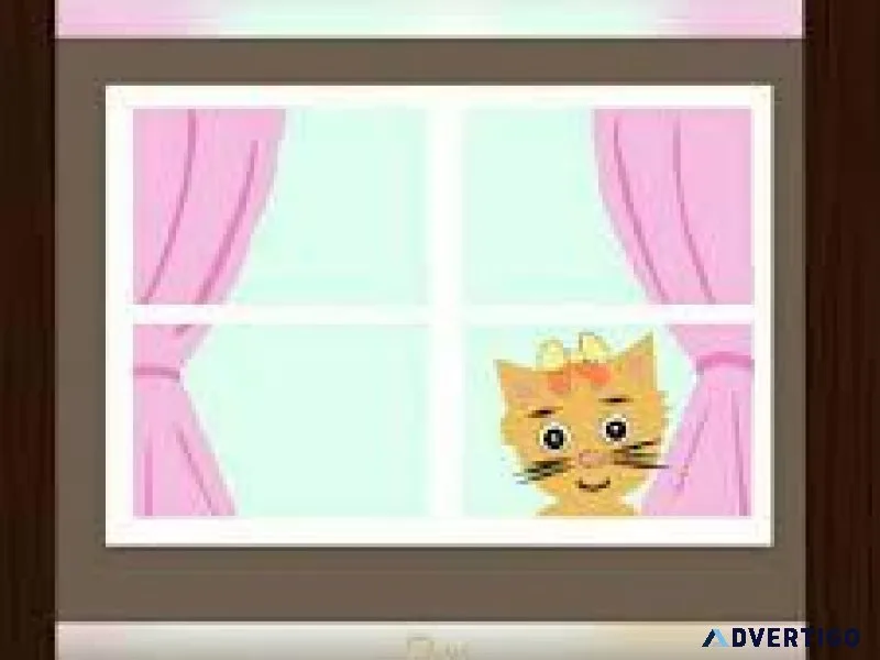 Kitten Sense
