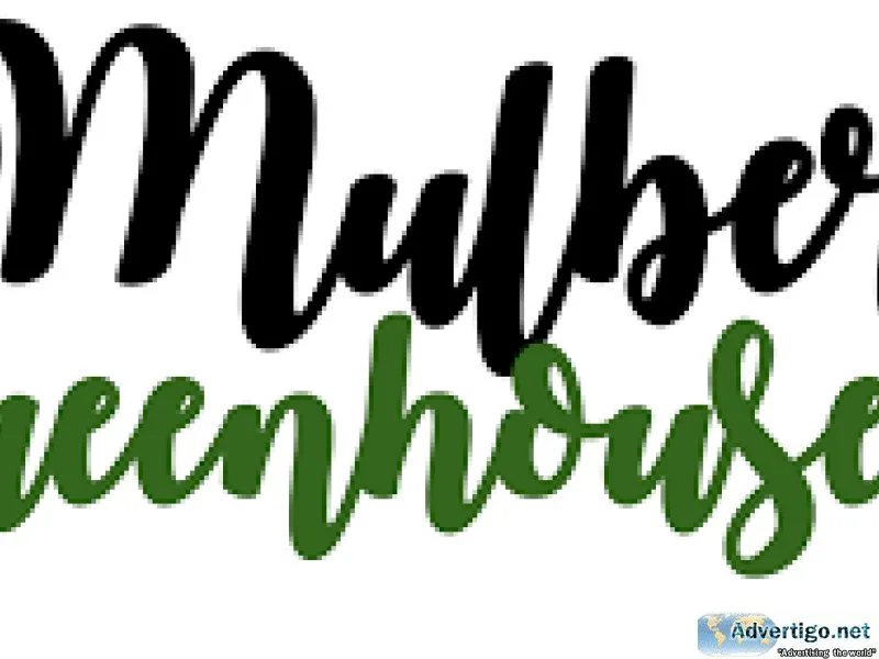 Buy Riga XL Greenhouse - Mulberry Greenhouses