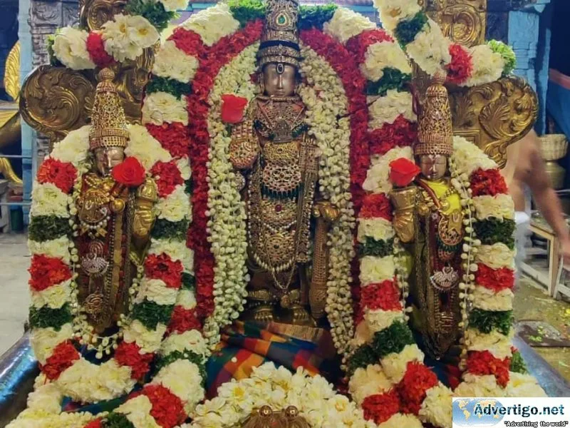 Padmavathi travels chennai to tirupati tour packages