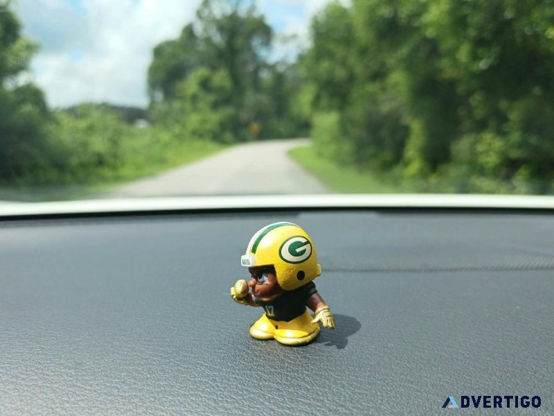 Green Bay Packers Dashboard Buddy
