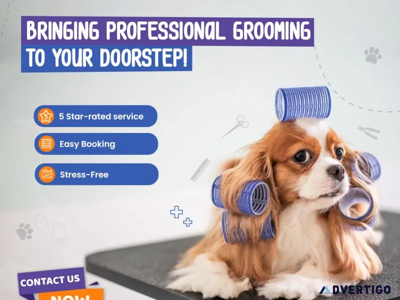 Pet grooming service in bangalore