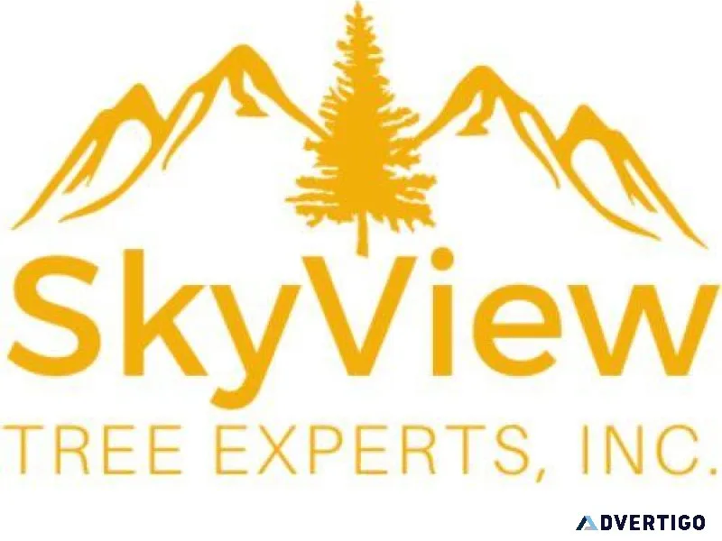 Tree Preservation Napa County