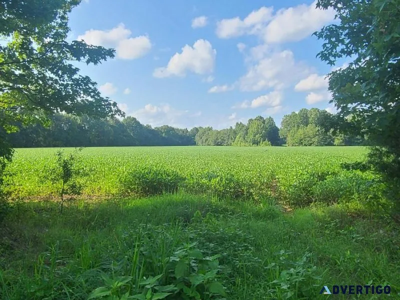 152 acres of Cattle and Row Crop Land