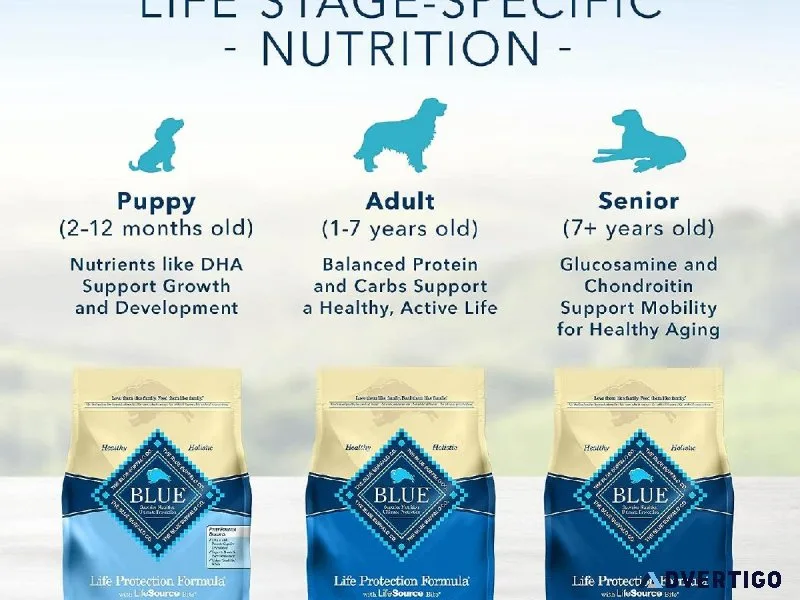 Blue Buffalo Life Protection Formula Natural Adult Dry Dog Food