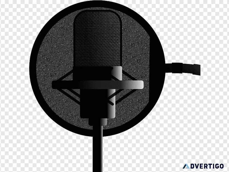 Dubbing artist  Professional quality dubbing