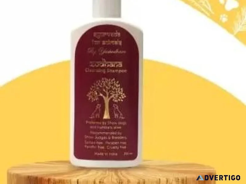Zodhana Cleansing shampoo- Best Dog shampoo