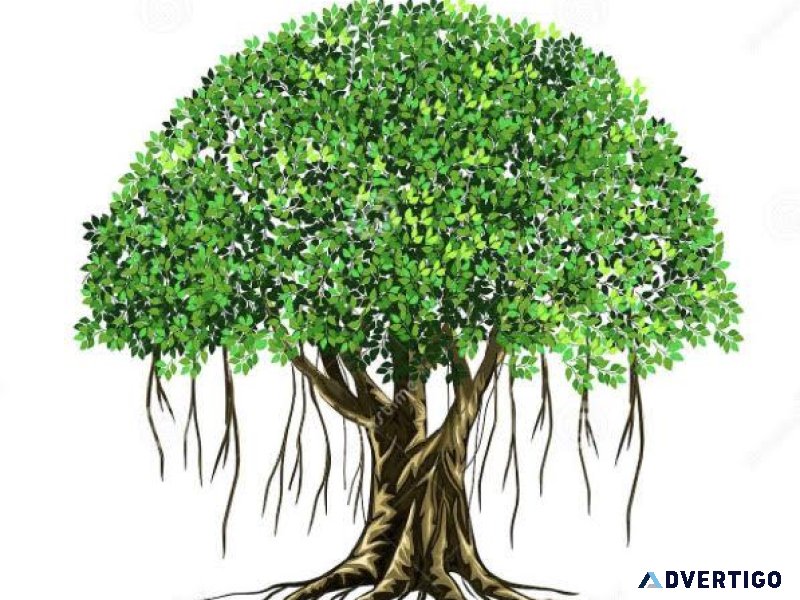 EXPERIENCED CAREGIVERS NEEDED