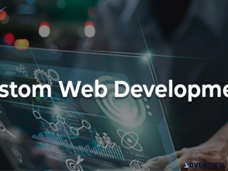 Custom web development