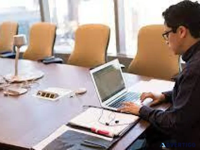 Web Analyst