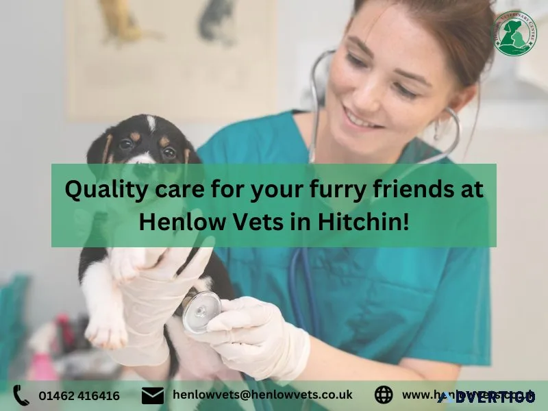 Quality care for your furry friends at Henlow Vets in Hitchin