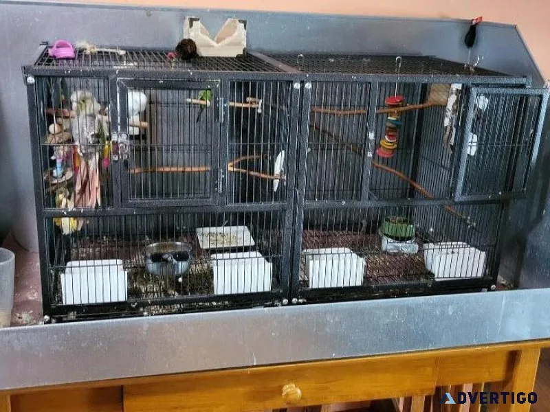 Bird cage and enclosure