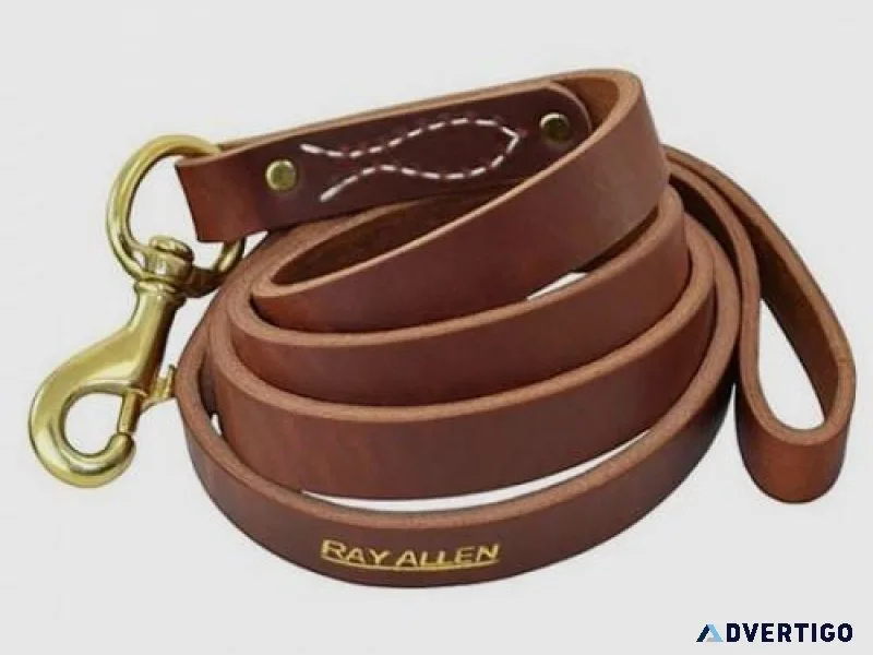 Slip leads for dogs in Australia