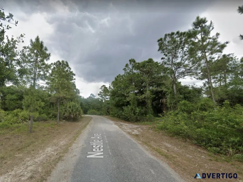 0.49 acre lot for sale owner financing available