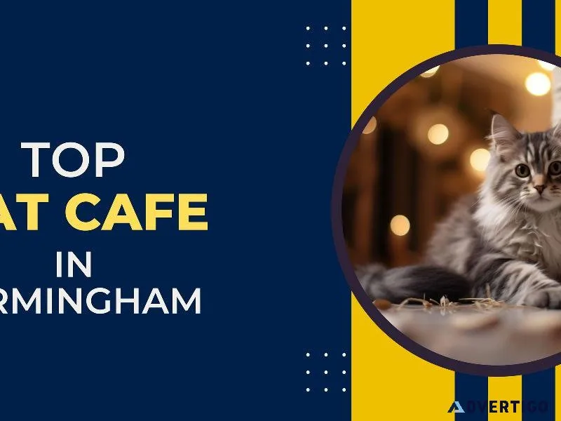 Top Cat Cafe in Birmingham