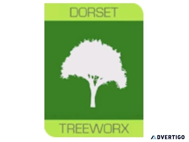 Weymouth Tree Surgeon - Dorset Treeworx Ltd