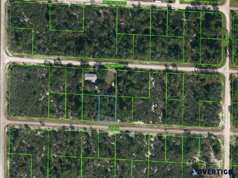 0.23 acre owner financed lot in Lake Placid