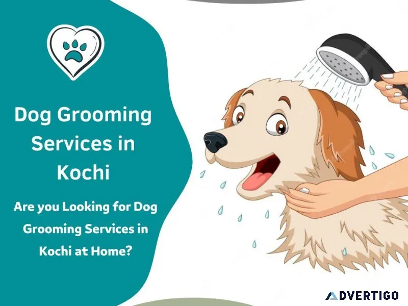 Dog Grooming Services in Kochi