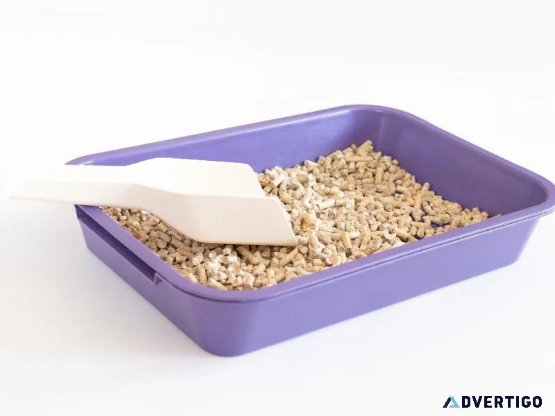 Purchase cat litter from the Pawrulz online store in India.