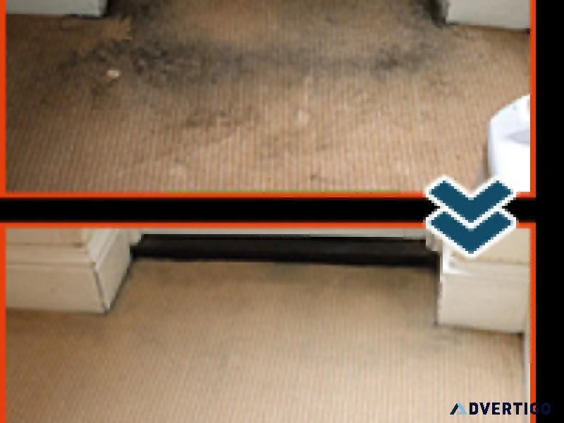 The Woodlands Carpet Cleaning