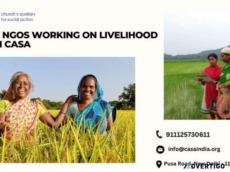 Best NGOs Working on Livelihood with CASA India