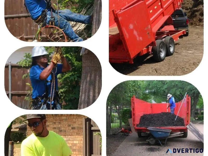 FAMILY TREE SERVICE