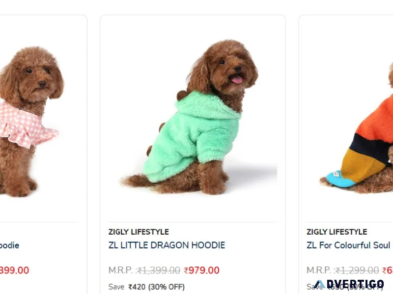 Cozy and Warm Dog Sweatshirts and Sweaters for Stylish Pets