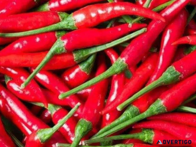 BULK RED ABE and RED HABANERO