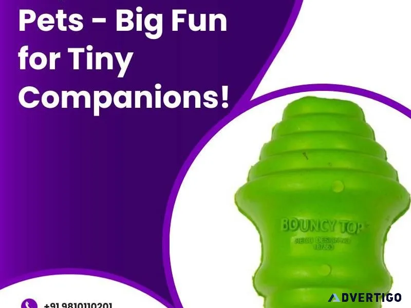 Toys for Small Pets - Big Fun for Tiny Companions