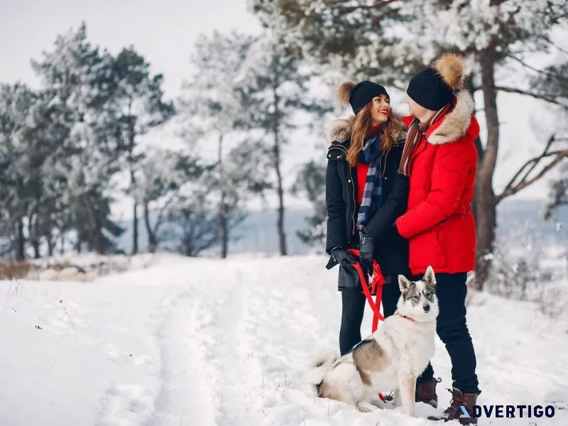 Kullu manali honeymoon packages