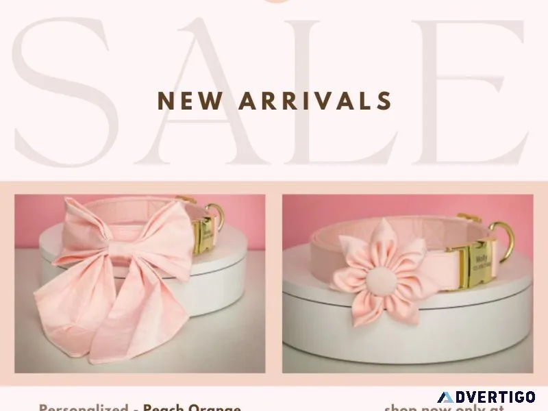 Trendy Dog Collar with Bow for your Fashionable Pooch  CurliTail