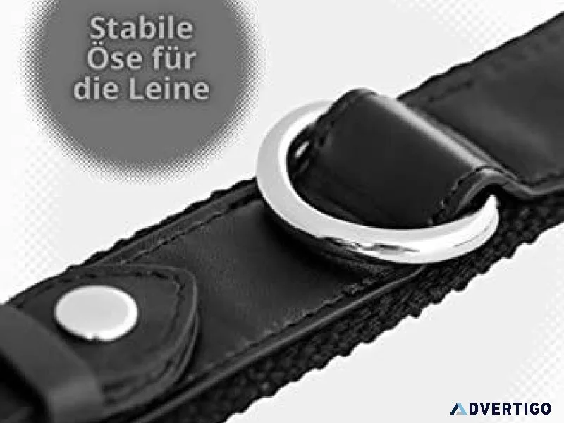 GPS-Hundehalsband aus Leder