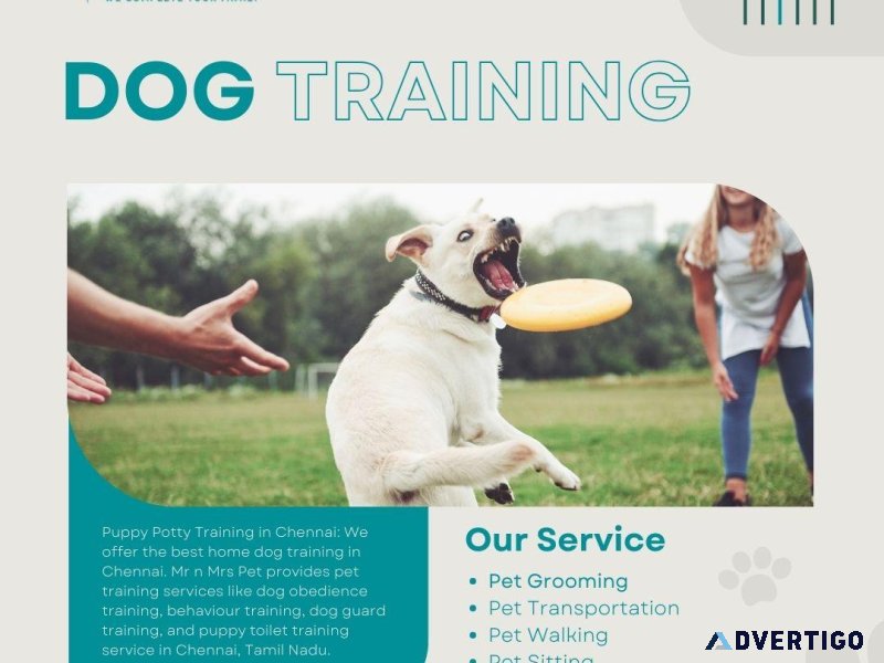 Puppy Potty Training in Chennai