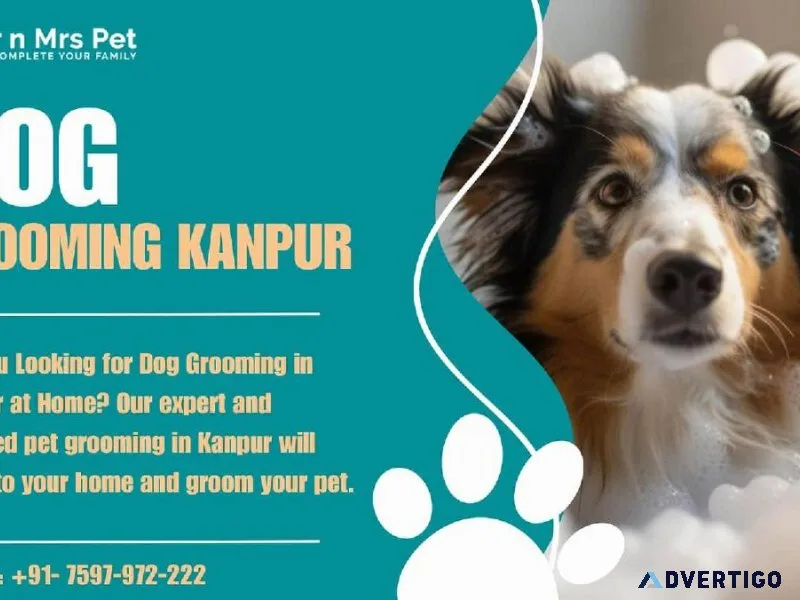 Dog Grooming Services in Kanpur