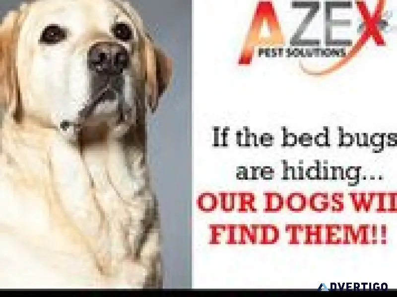 K-9 Bed Bug Inspections