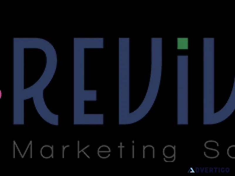 Top seo services in dehradun