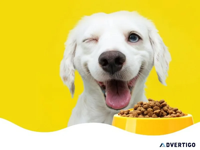 Discover The Best Cat Food Suppliers Online At AuzPetz