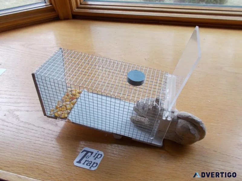 animal  TipandTrap