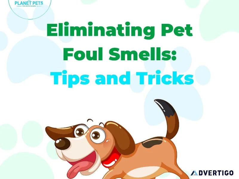 Keep your pup looking pristine